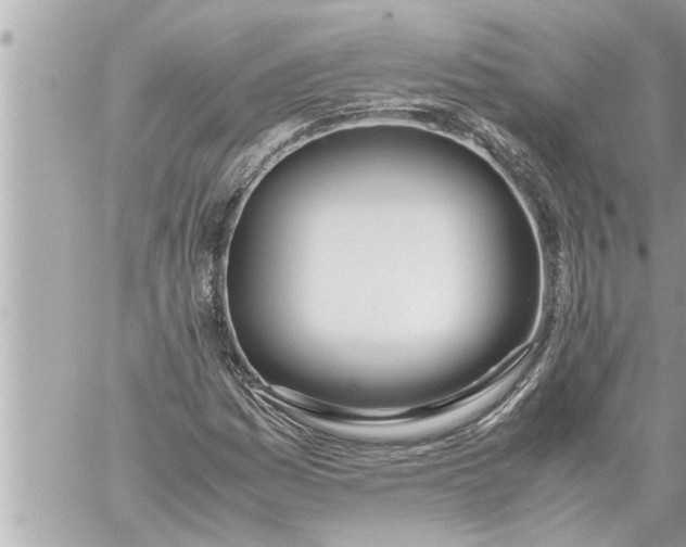 X0000059851161200511111803