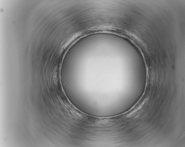 X0000059851162200511111803