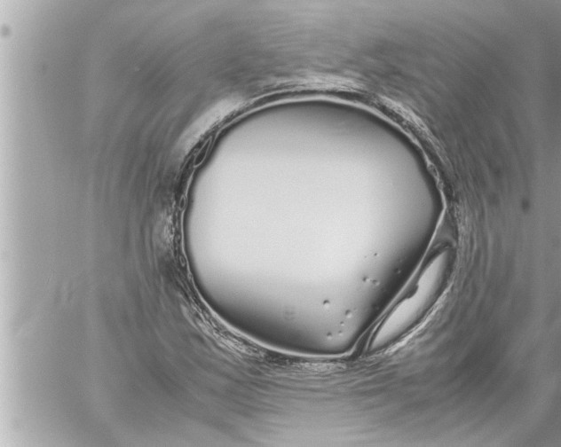 X0000059851163200511111803