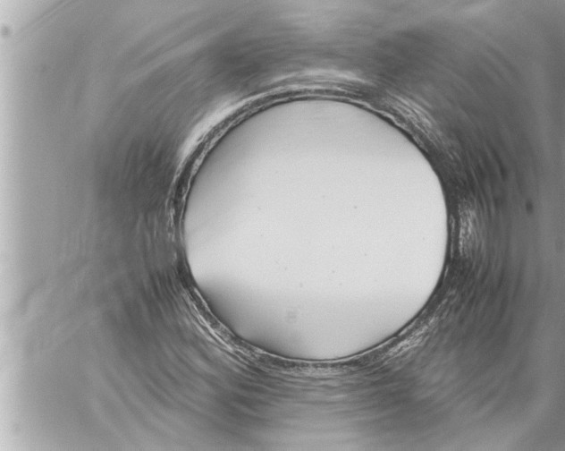 X0000059851164200511111803