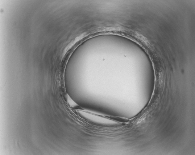 X0000059851165200511111803