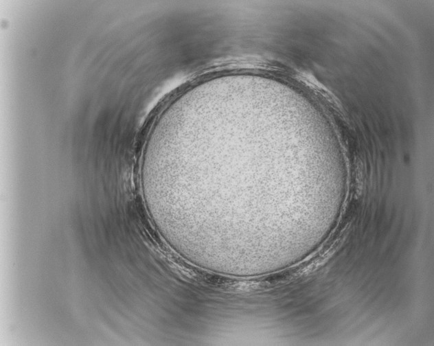 X0000059851166200511111803