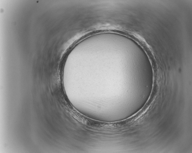 X0000059851167200511111803