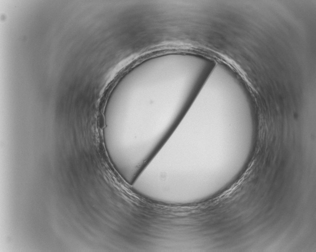 X0000059851168200511111803