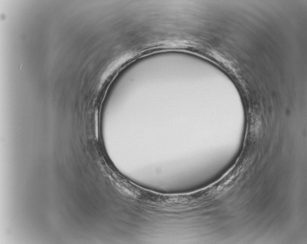 X0000059851171200511111803