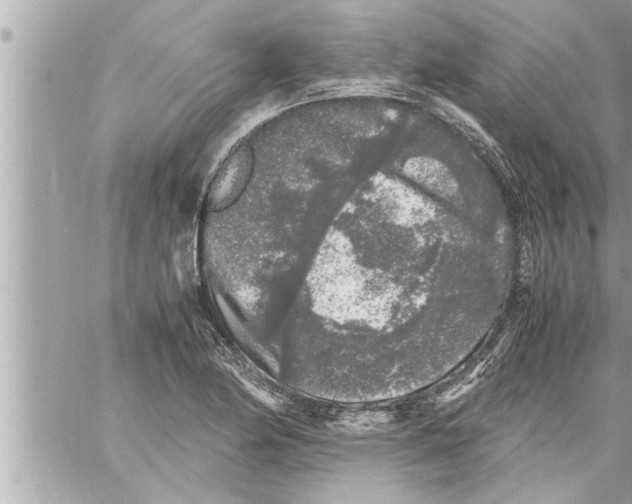 X0000059851174200511111803