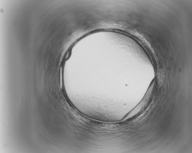 X0000059851175200511111803