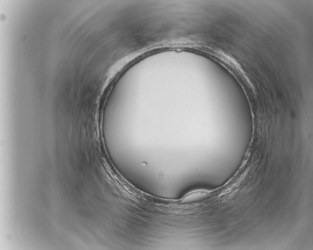 X0000059851176200511111803