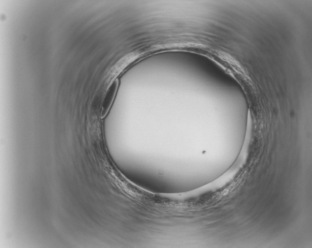 X0000059851177200511111803