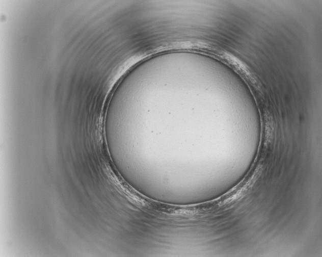 X0000059851178200511111803