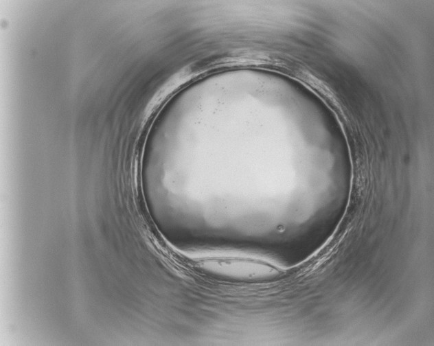 X0000059851179200511111803