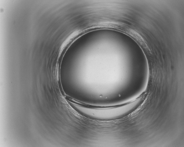 X0000059851180200511111803