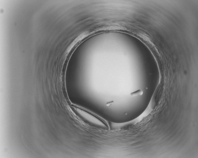 X0000059851181200511111803