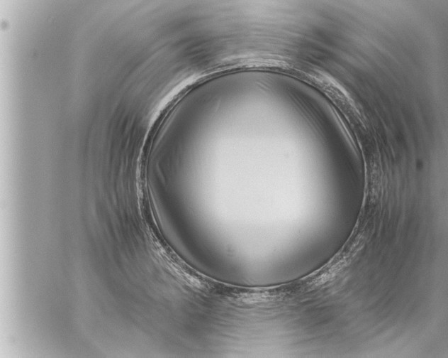 X0000059851182200511111803