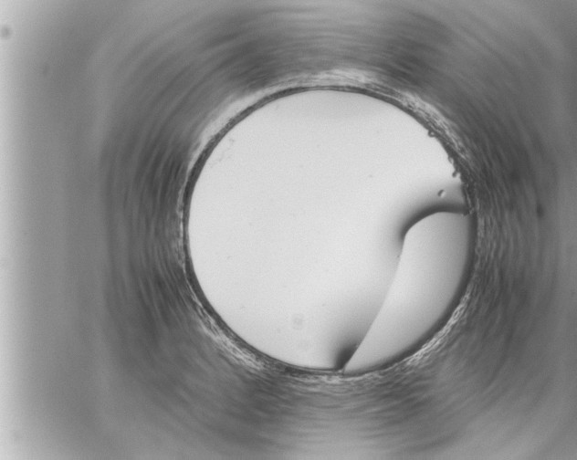 X0000059851184200511111803