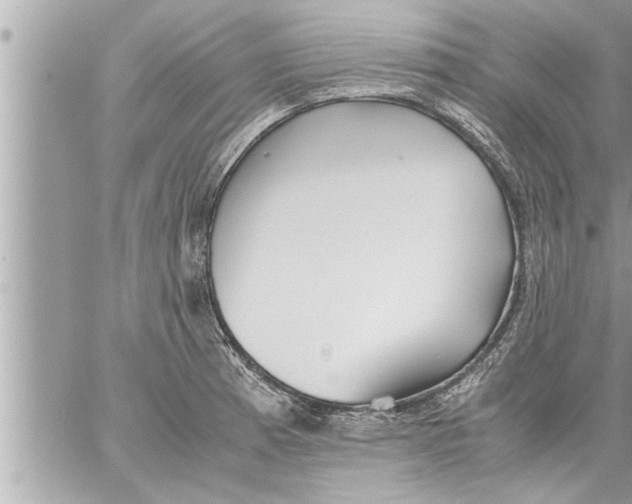 X0000059851185200511111803