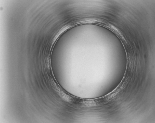 X0000059851186200511111803