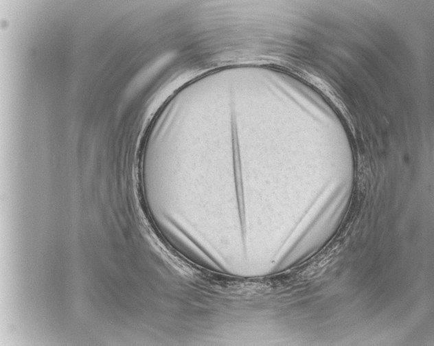 X0000059851187200511111803