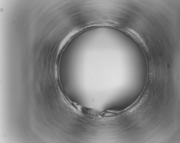 X0000059851188200511111803