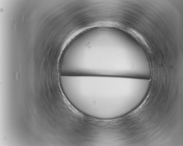 X0000059851192200511111803