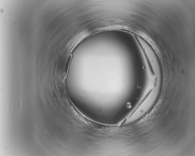 X0000059851193200511111803