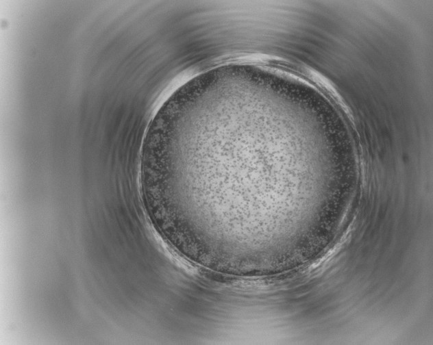 X0000059851194200511111803