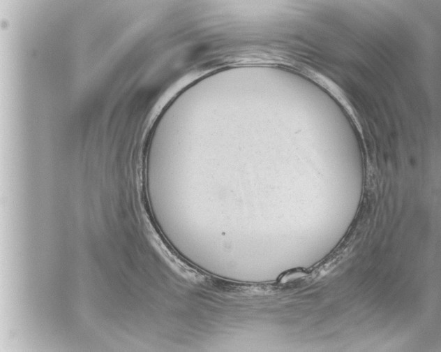 X0000059851195200511111803