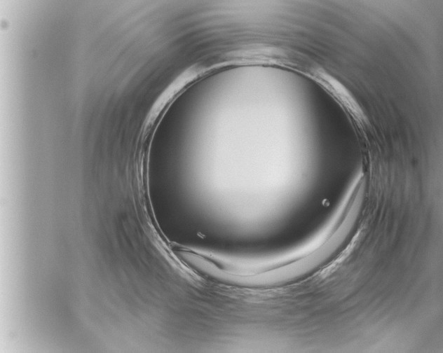 X0000059851196200511111803