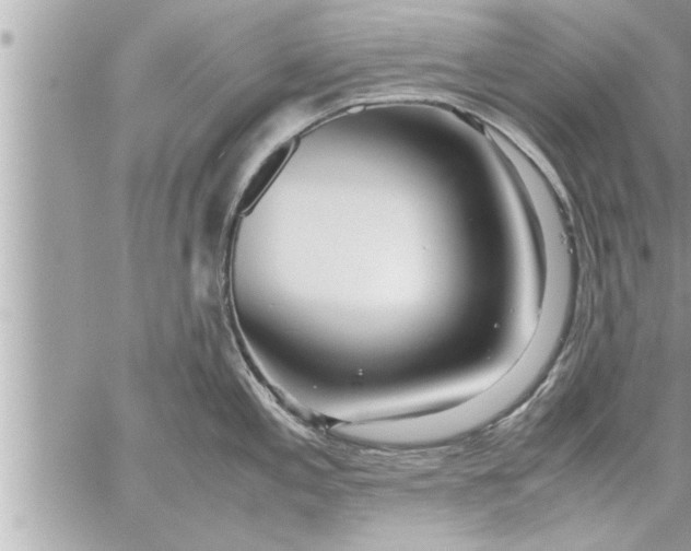 X0000059851197200511111803