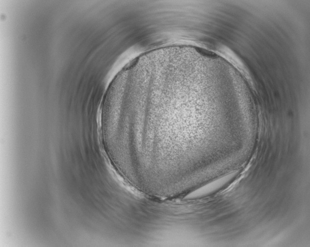 X0000059851198200511111803