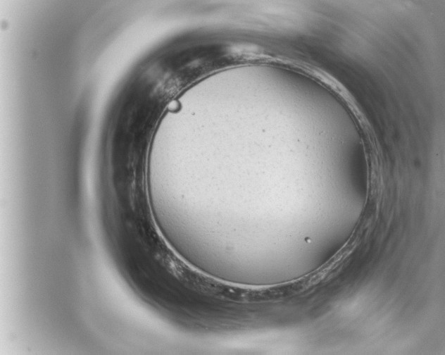 X0000059851199200511111803