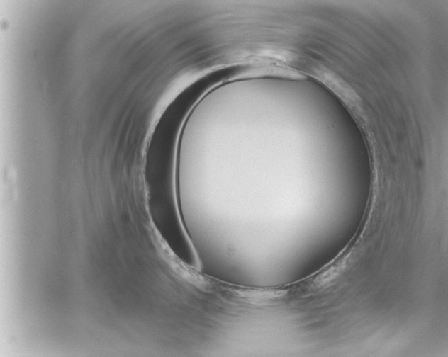 X0000059851200200511111803