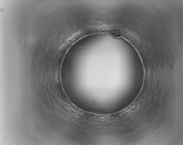 X0000059851205200511111802