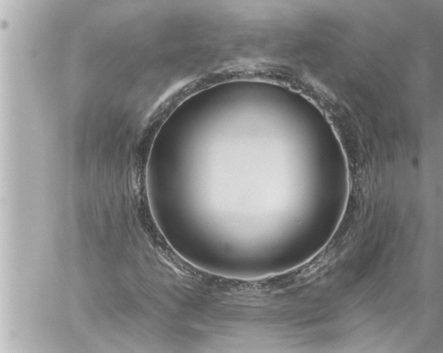 X0000059851206200511111802