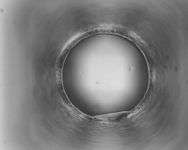 X0000059851208200511111802