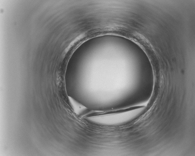 X0000059851210200511111802