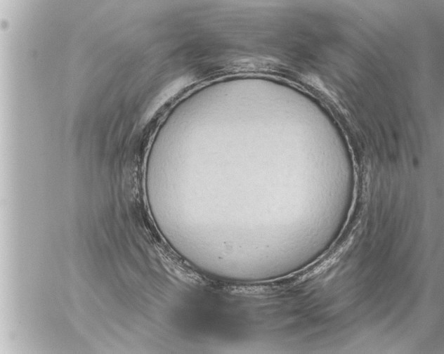 X0000059851211200511111802