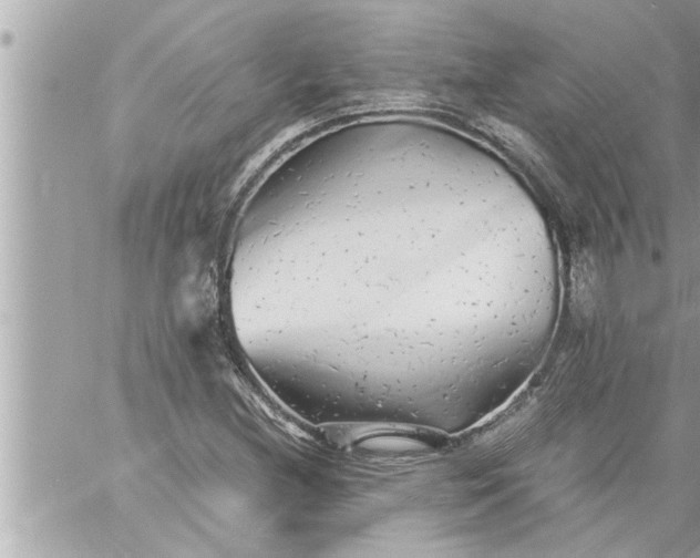 X0000059851212200511111802