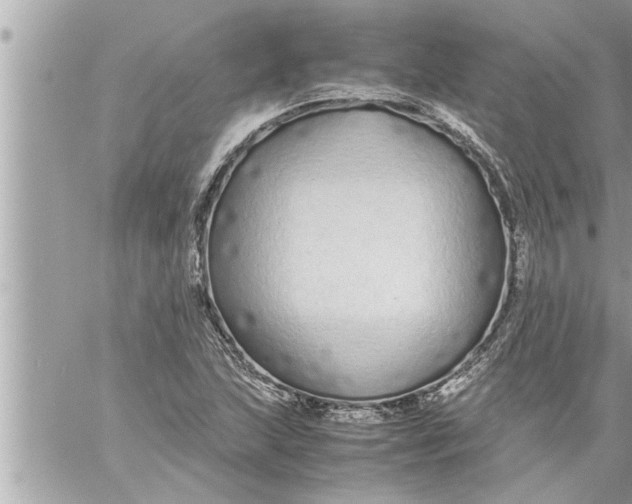 X0000059851215200511111802