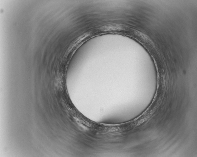 X0000059851217200511111802