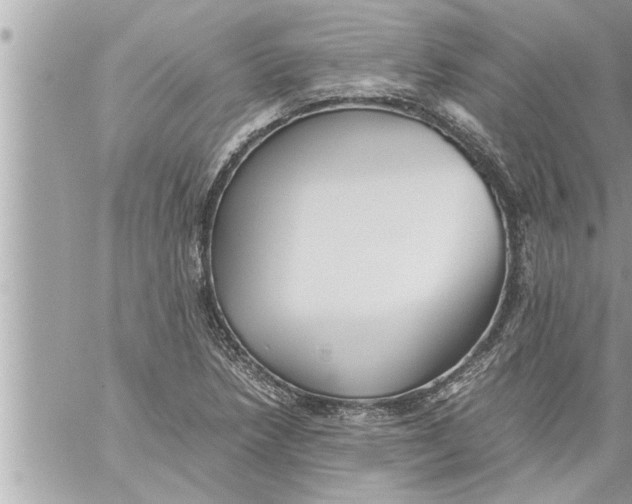 X0000059851218200511111802