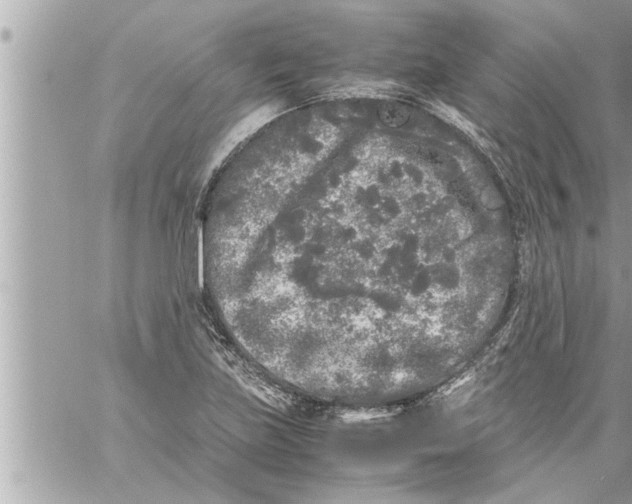 X0000059851219200511111802