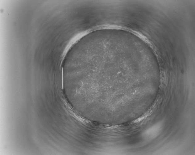 X0000059851223200511111802