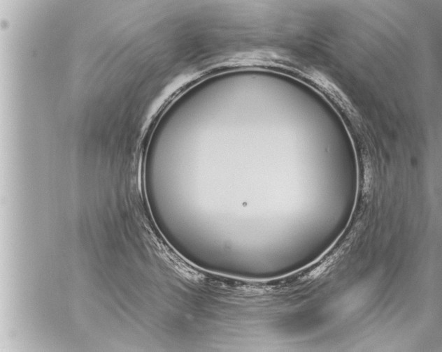 X0000059851224200511111802