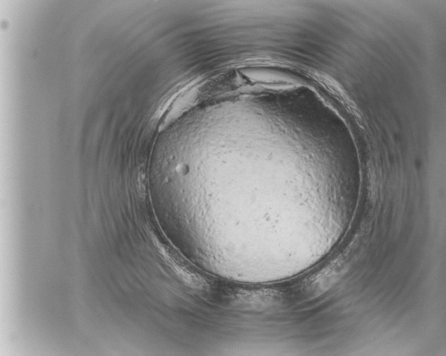 X0000059851225200511111802