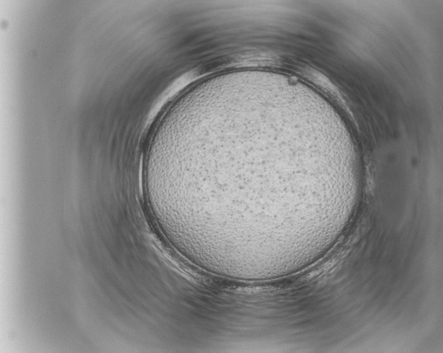 X0000059851227200511111802