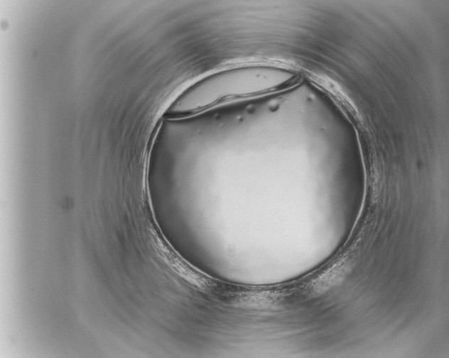 X0000059851228200511111802