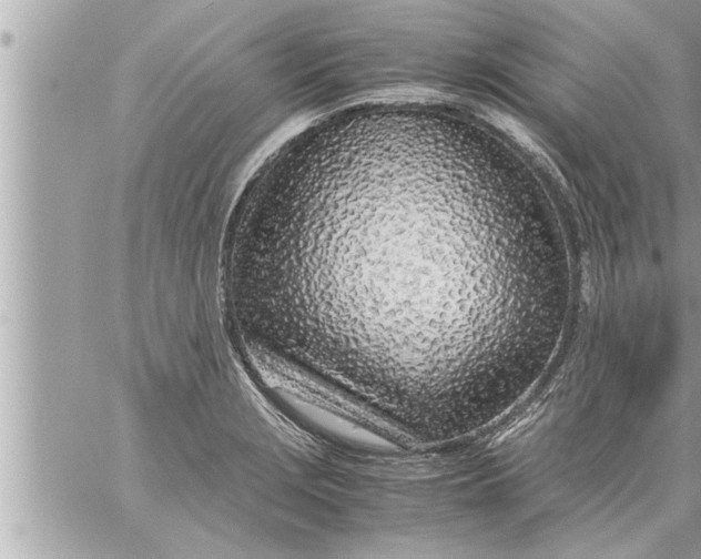 X0000059851229200511111802