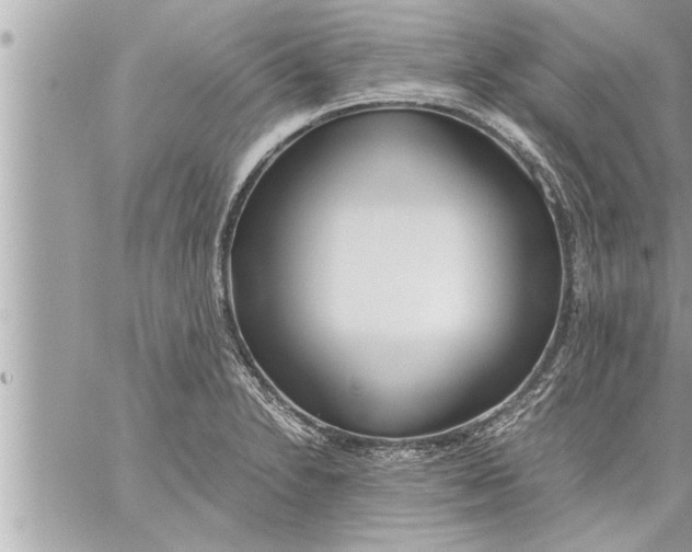 X0000059851230200511111802