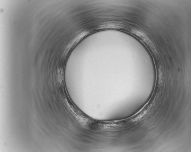 X0000059851233200511111802